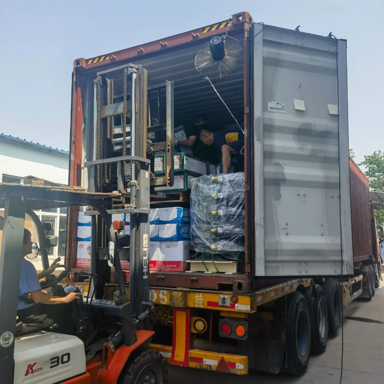 Nga waahanga taraka taimaha - Skyond Skys - taraiwa ngawari, whakawhirinaki ki nga waahi katoa!